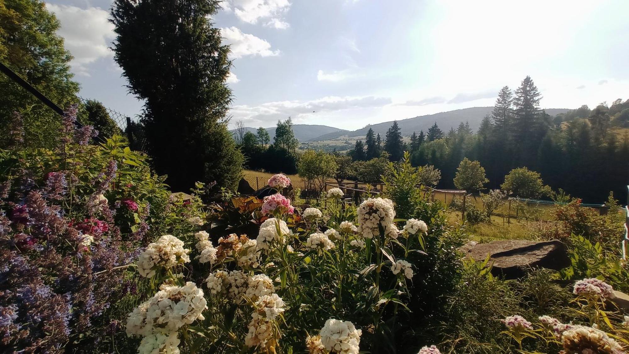 Agroturystyka "Na Polanie" Rajcza Dış mekan fotoğraf